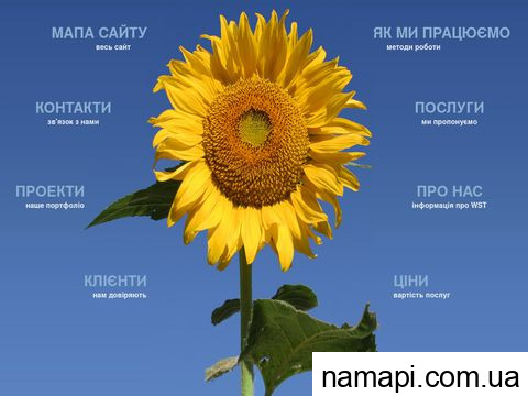 wst.com.ua
