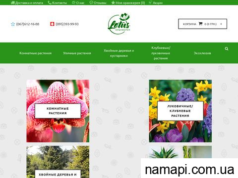 lotus.net.ua
