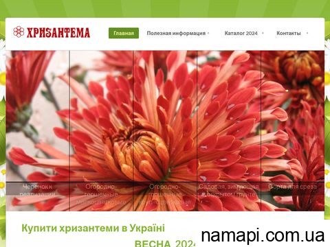 hrizantema.com.ua отзывы